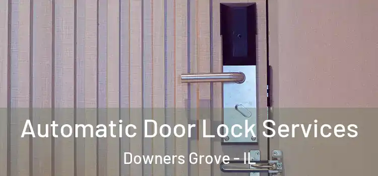 Automatic Door Lock Services Downers Grove - IL