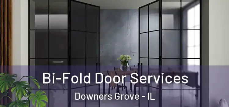 Bi-Fold Door Services Downers Grove - IL