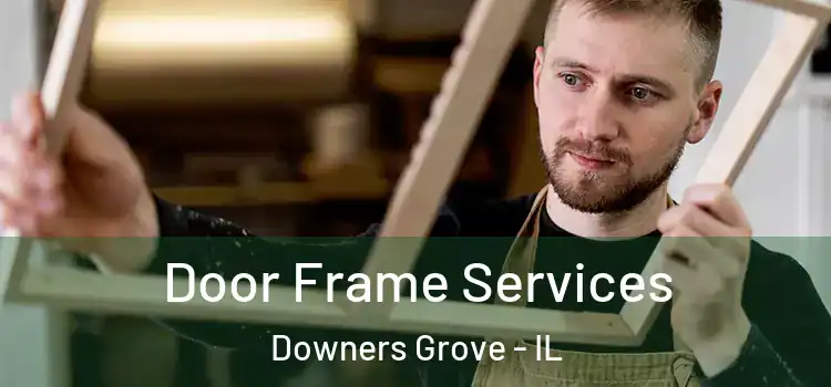 Door Frame Services Downers Grove - IL