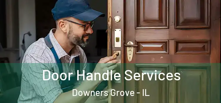 Door Handle Services Downers Grove - IL