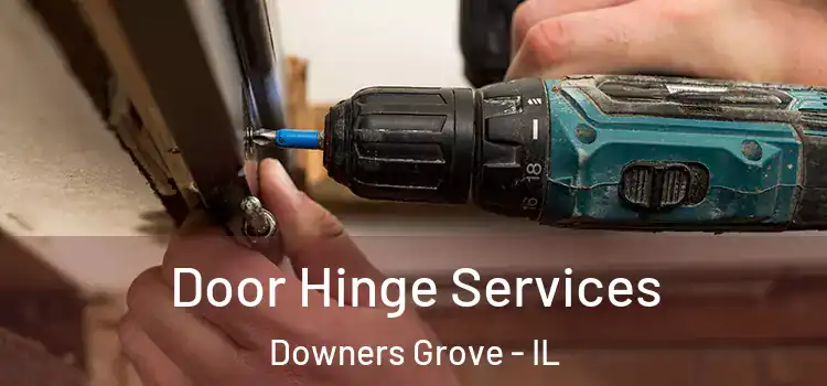 Door Hinge Services Downers Grove - IL
