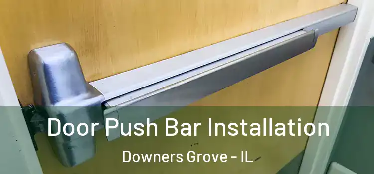  Door Push Bar Installation Downers Grove - IL