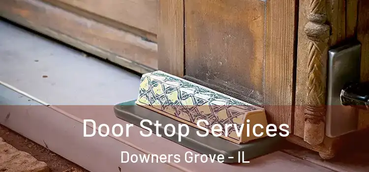 Door Stop Services Downers Grove - IL