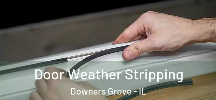Door Weather Stripping Downers Grove - IL