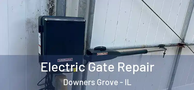 Electric Gate Repair Downers Grove - IL