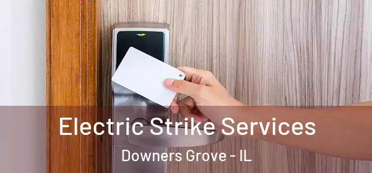 Electric Strike Services Downers Grove - IL