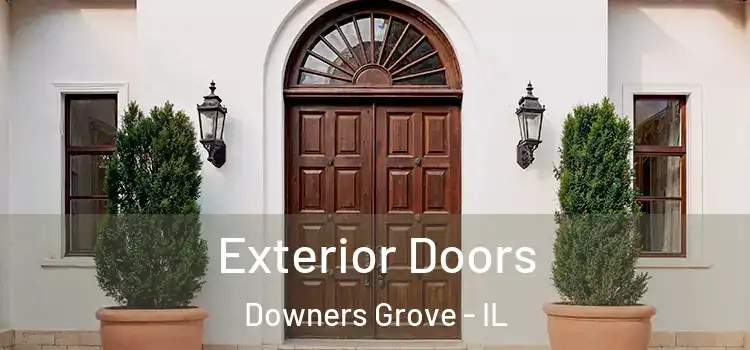 Exterior Doors Downers Grove - IL