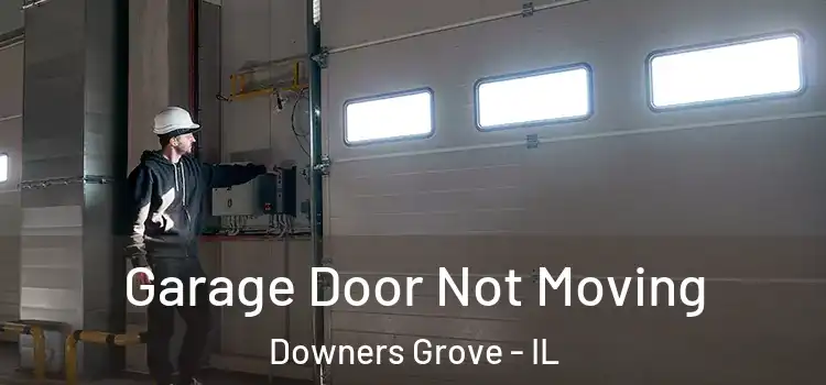 Garage Door Not Moving Downers Grove - IL