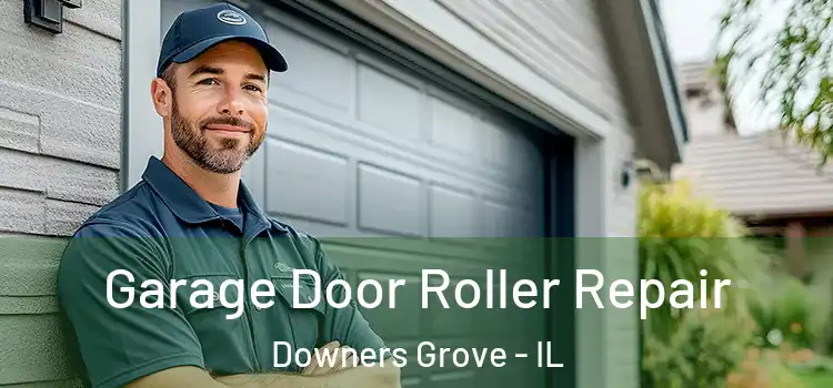  Garage Door Roller Repair Downers Grove - IL