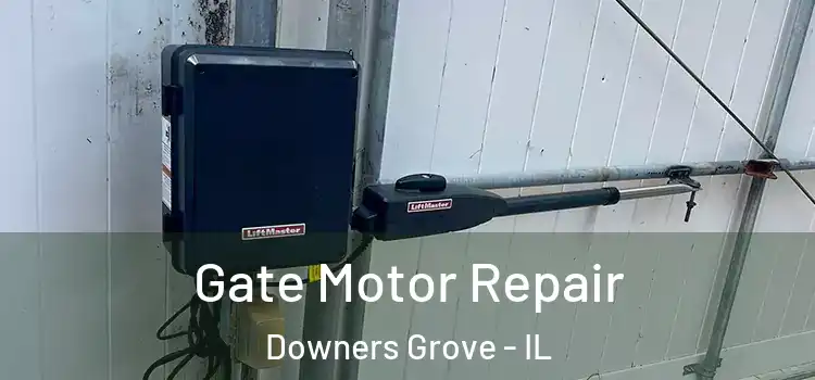 Gate Motor Repair Downers Grove - IL