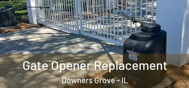 Gate Opener Replacement Downers Grove - IL