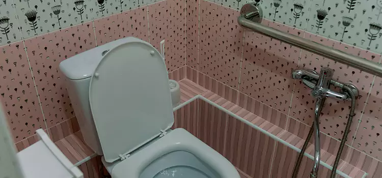 Meeting Diverse Needs With Accessible Restroom Solutions in Downers Grove, IL