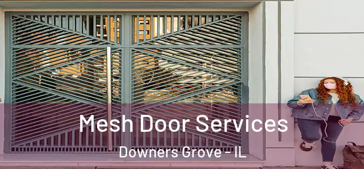 Mesh Door Services Downers Grove - IL