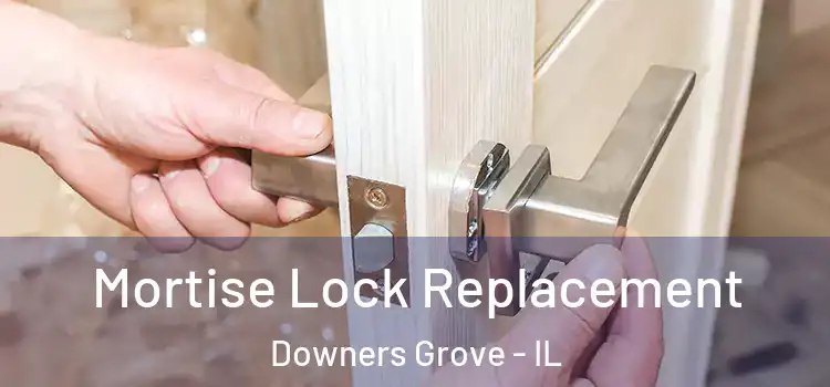 Mortise Lock Replacement Downers Grove - IL