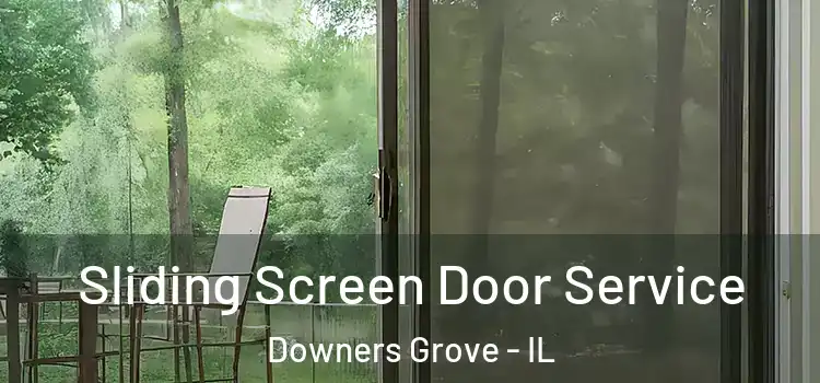 Sliding Screen Door Service Downers Grove - IL
