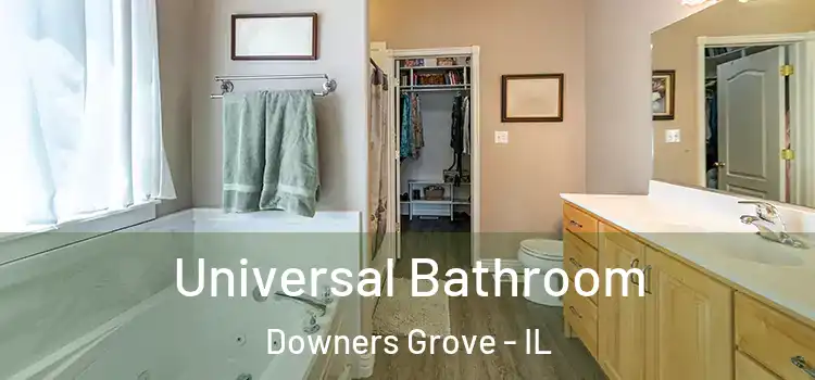  Universal Bathroom Downers Grove - IL